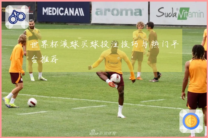 世界杯滚球买球投注技巧与热门平台推荐