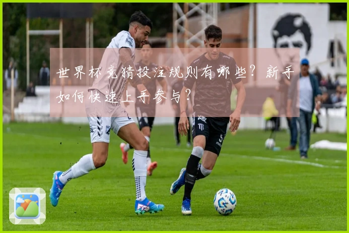 世界杯竞猜投注规则有哪些？新手如何快速上手参与？