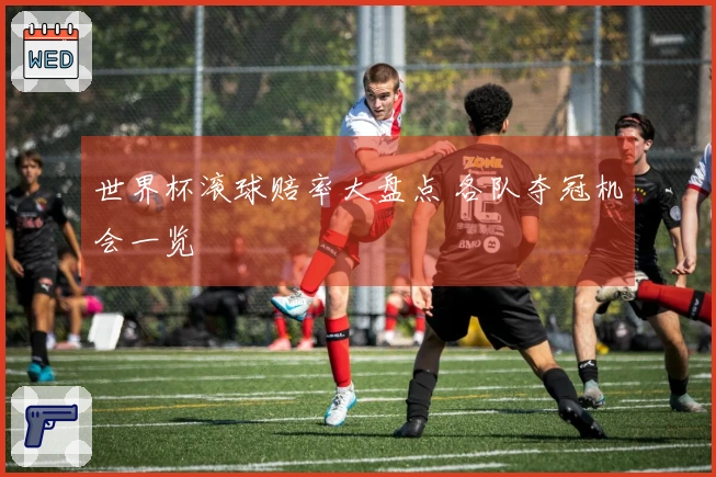 世界杯滚球赔率大盘点 各队夺冠机会一览