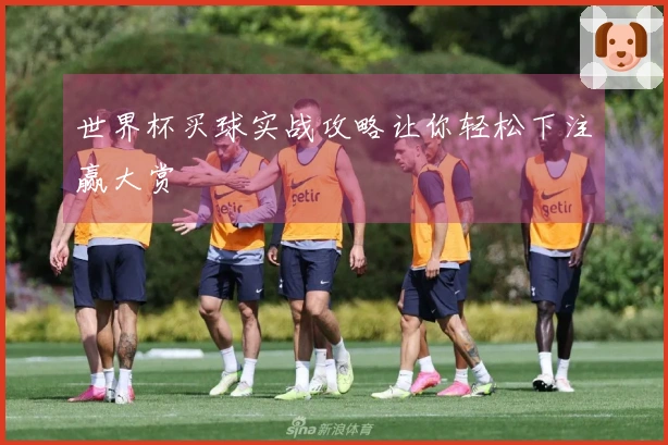 世界杯买球实战攻略让你轻松下注赢大赏